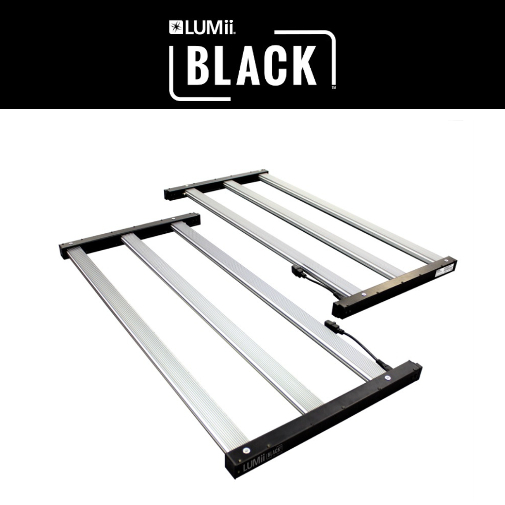 LUMii BLACK² 720 Split LED Boxed Kit