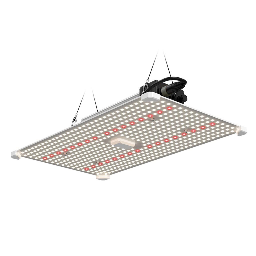 LUMii BLACK Blade 100w - 200w or 400w LED