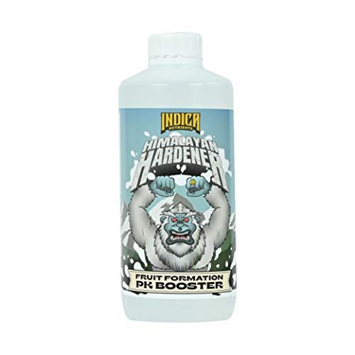 Indica Clearance List