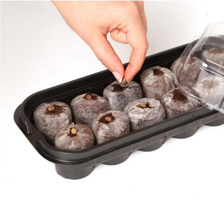 Botanian jiffy pots