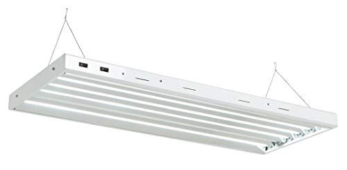 Senua T5 Propagation Light