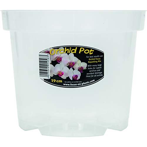 Growth Technology Clear Orchid Pot 19cm