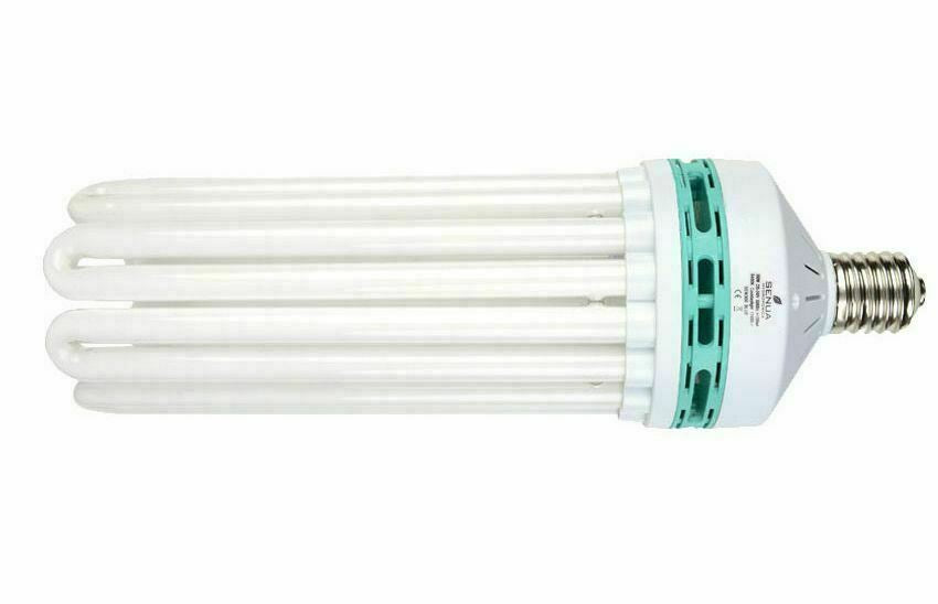 Senua E40 CFL Blue 6400K