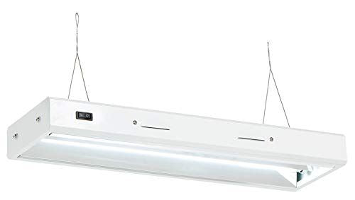 Senua T5 Propagation Light