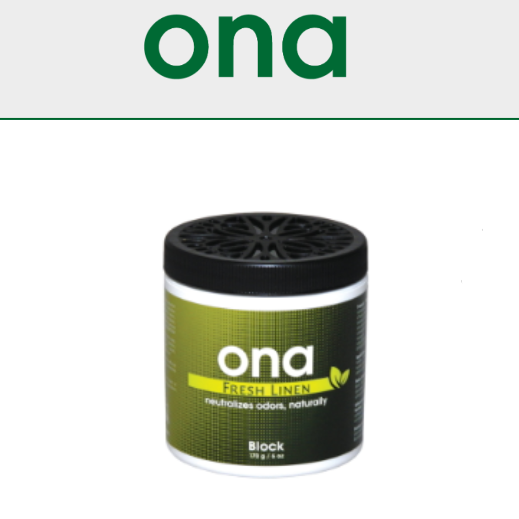ONA Blocks