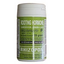 Rhizopon Rooting Hormone Chryzotop Green 0.25% 25 gram