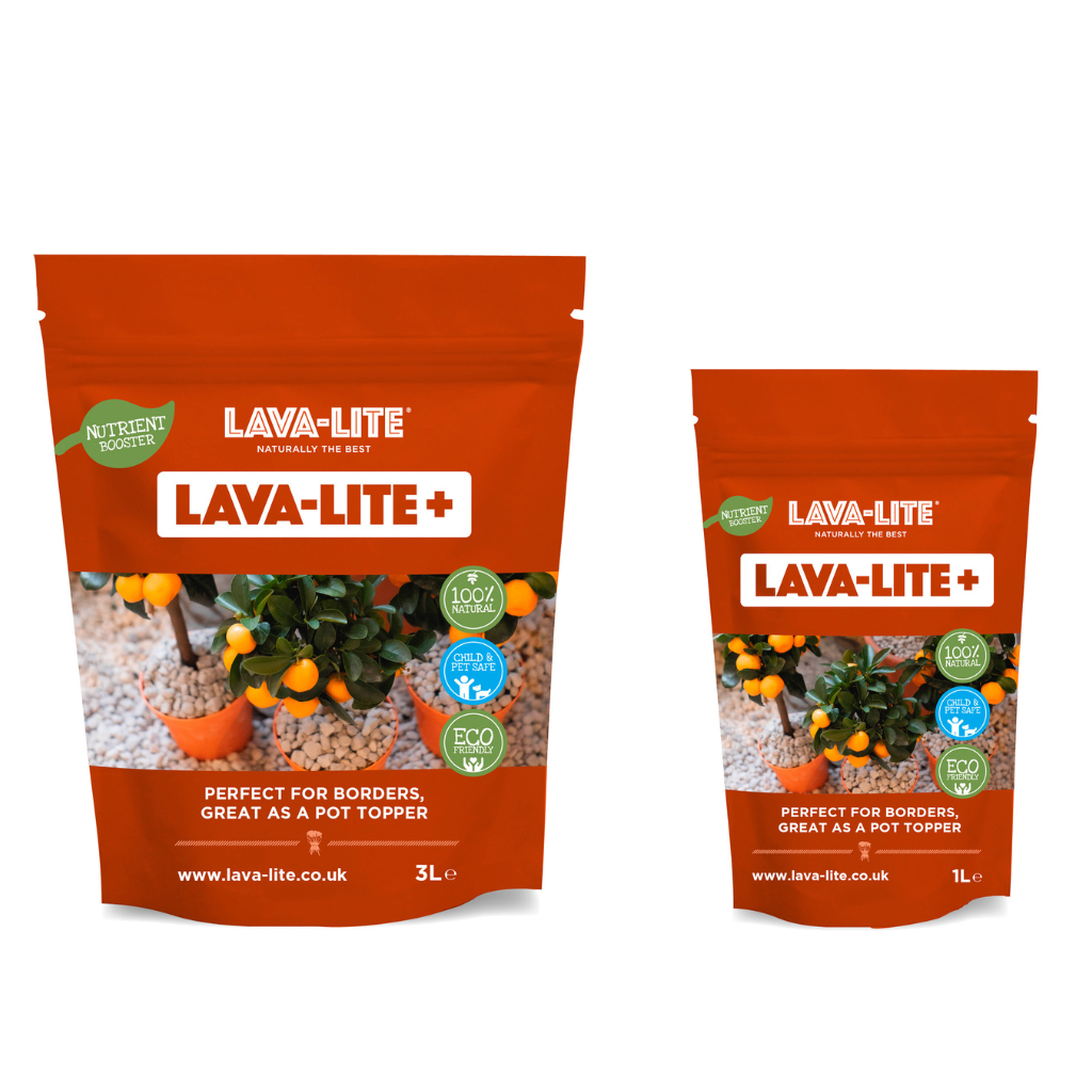 Lava-Lite+ Main