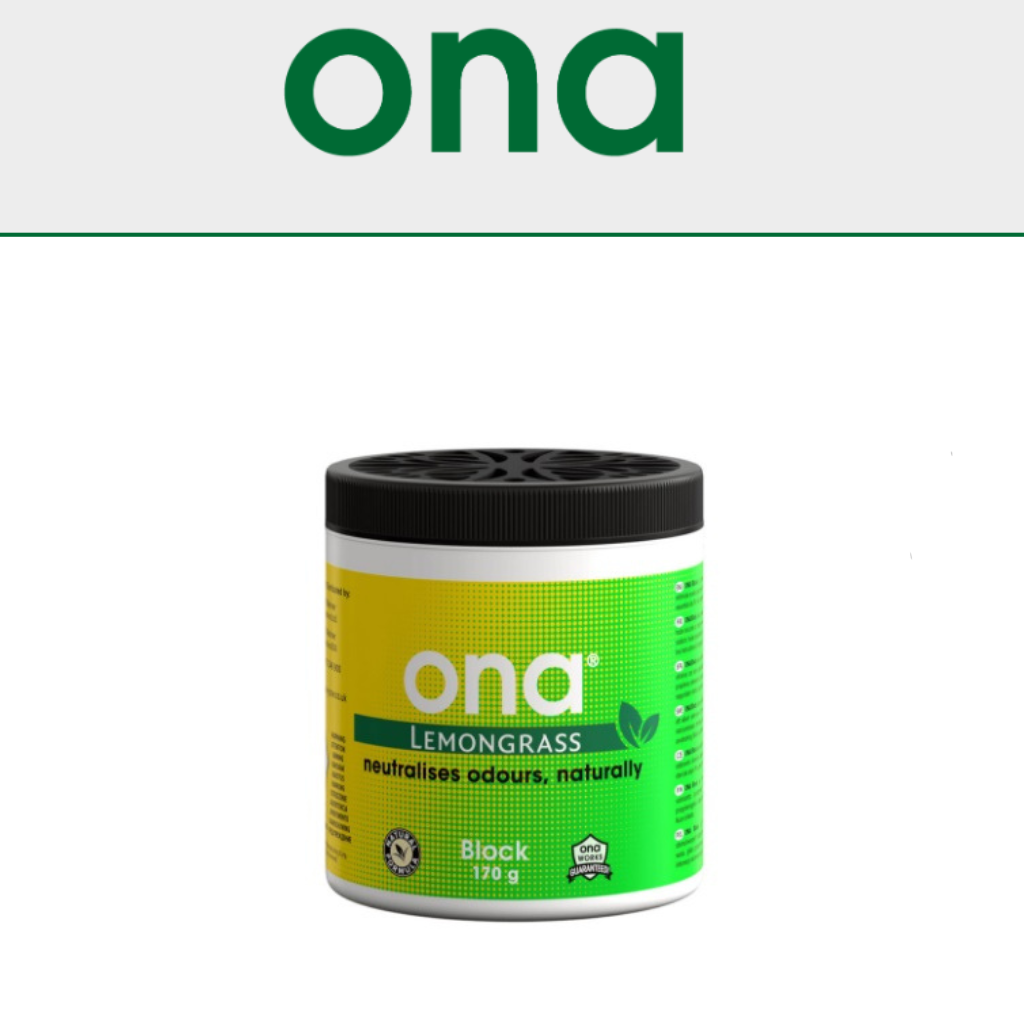 ONA Blocks