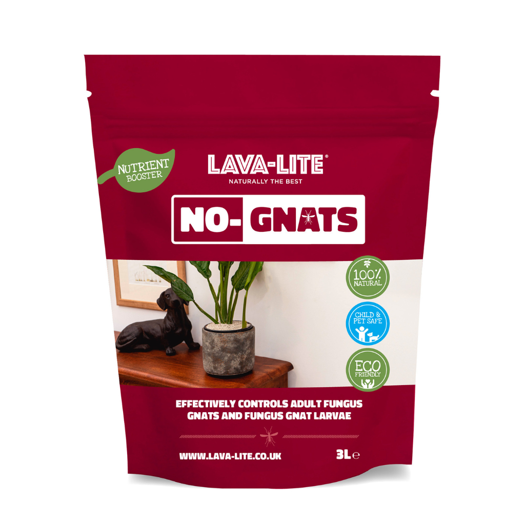 Lava Lite No Gnats 3 litre