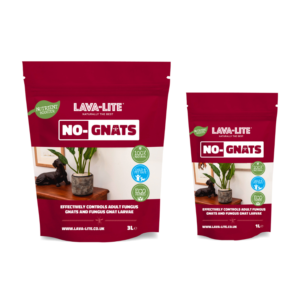 Lava Lite No Gnats - main