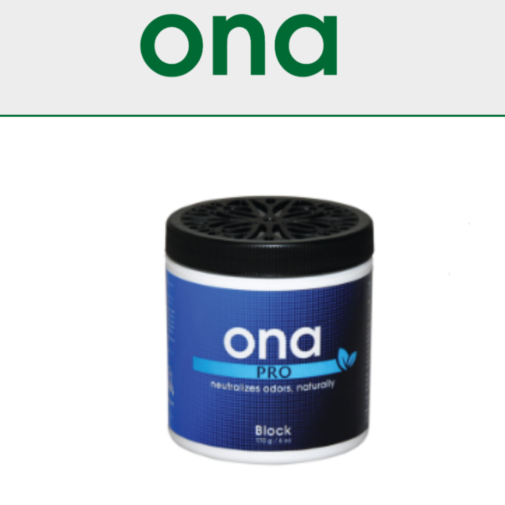 ONA Blocks