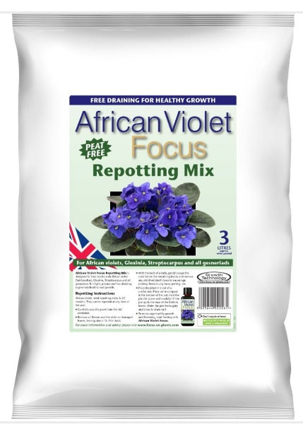 Growth Technology African Violet Focus