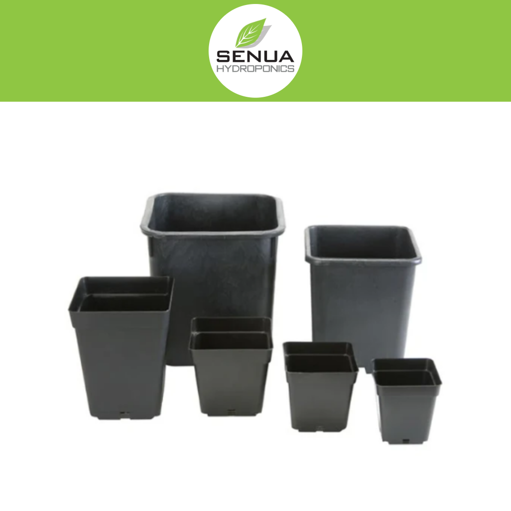 Senua Square Pots