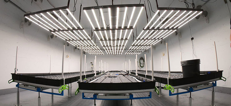 A photo image of LED grow lights set up in a large garage. The lights are suspended from the ceiling and underneath a variety of plant pots are ready for soil and planting.