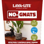 Lava Lite No Gnats