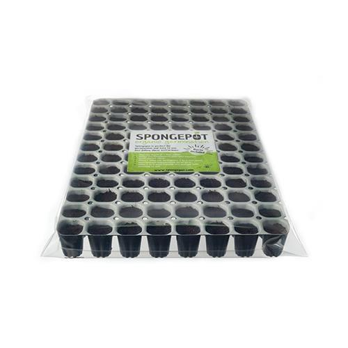 Spongepot Tray – Organic Seed Germination Solution