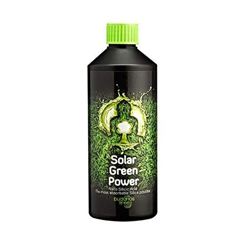 Buddhas Tree Solar Green Power