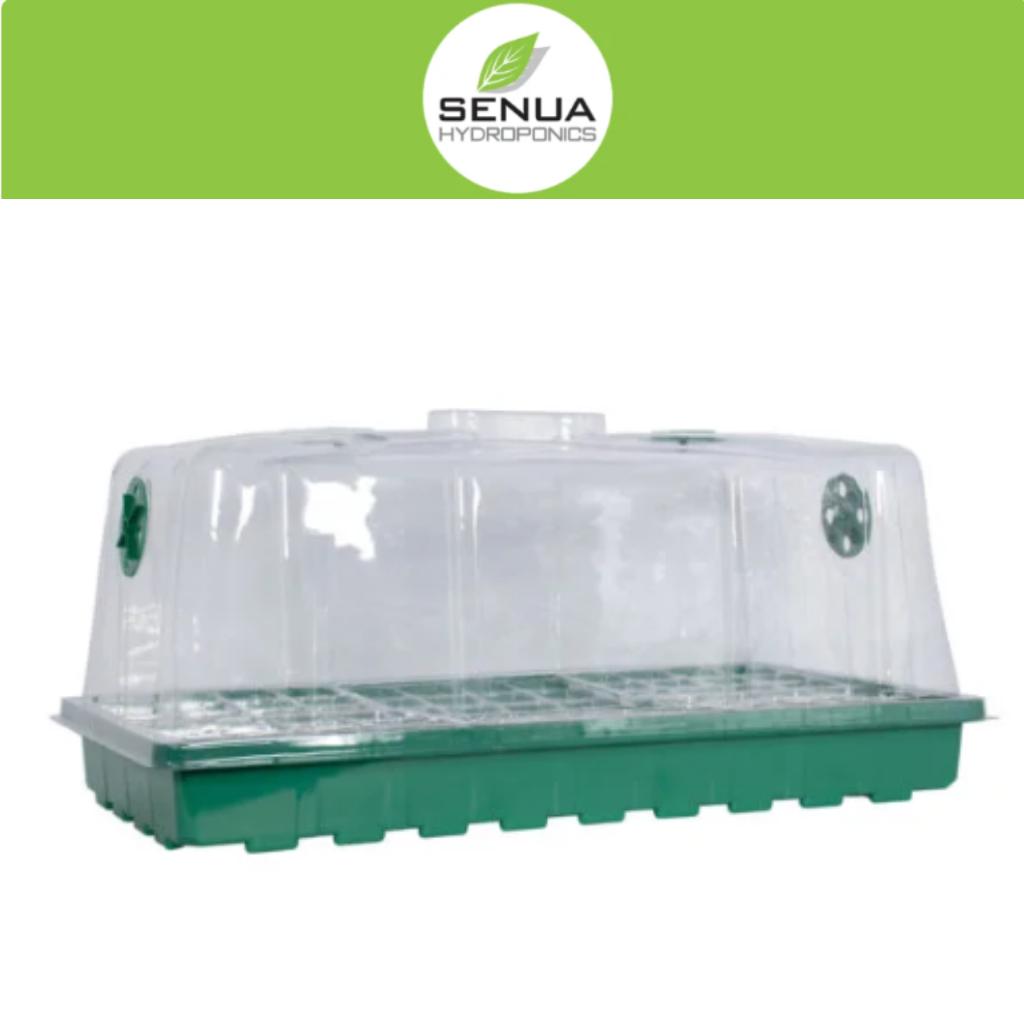 Budget line Propagator