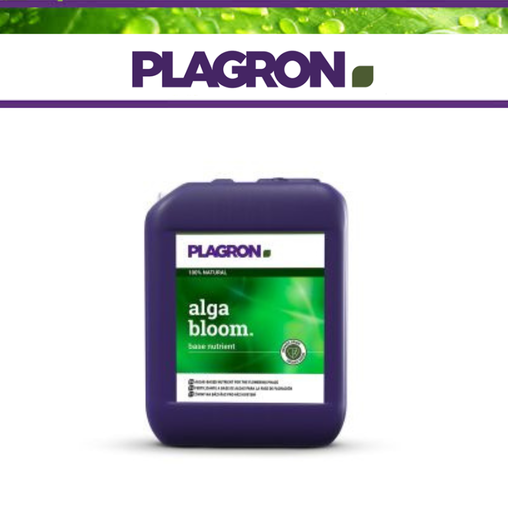 Plagron Alga Bloom