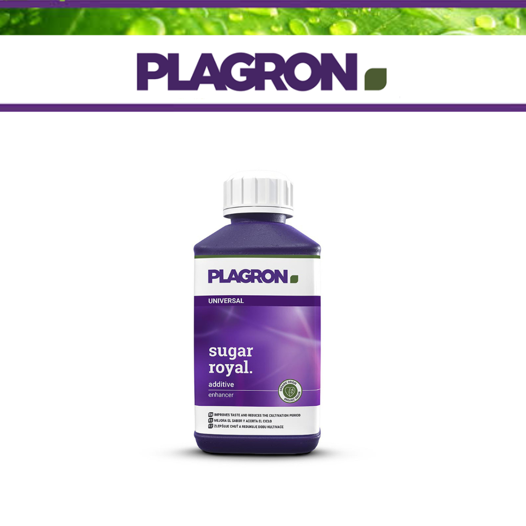 Plagron Sugar Royal