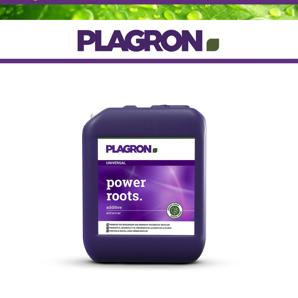Plagron Power Roots