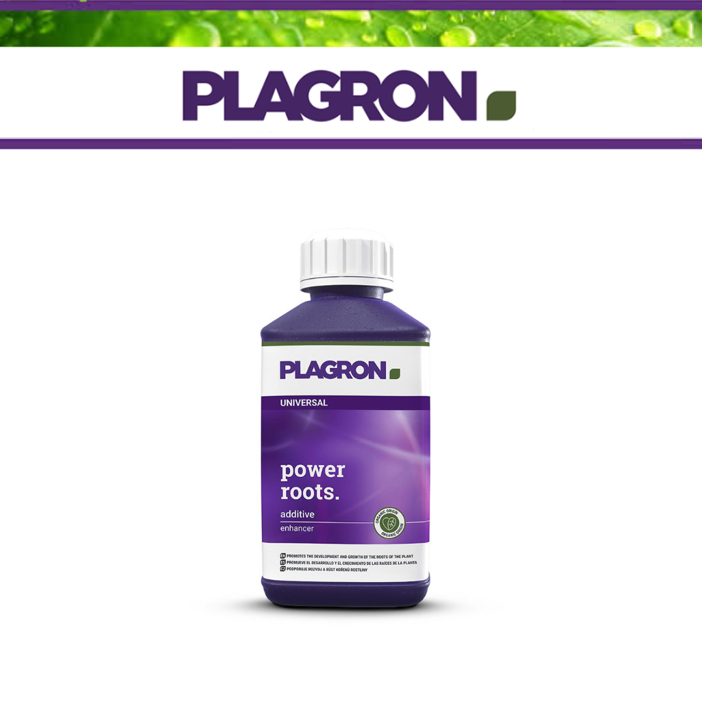 Plagron Power Roots