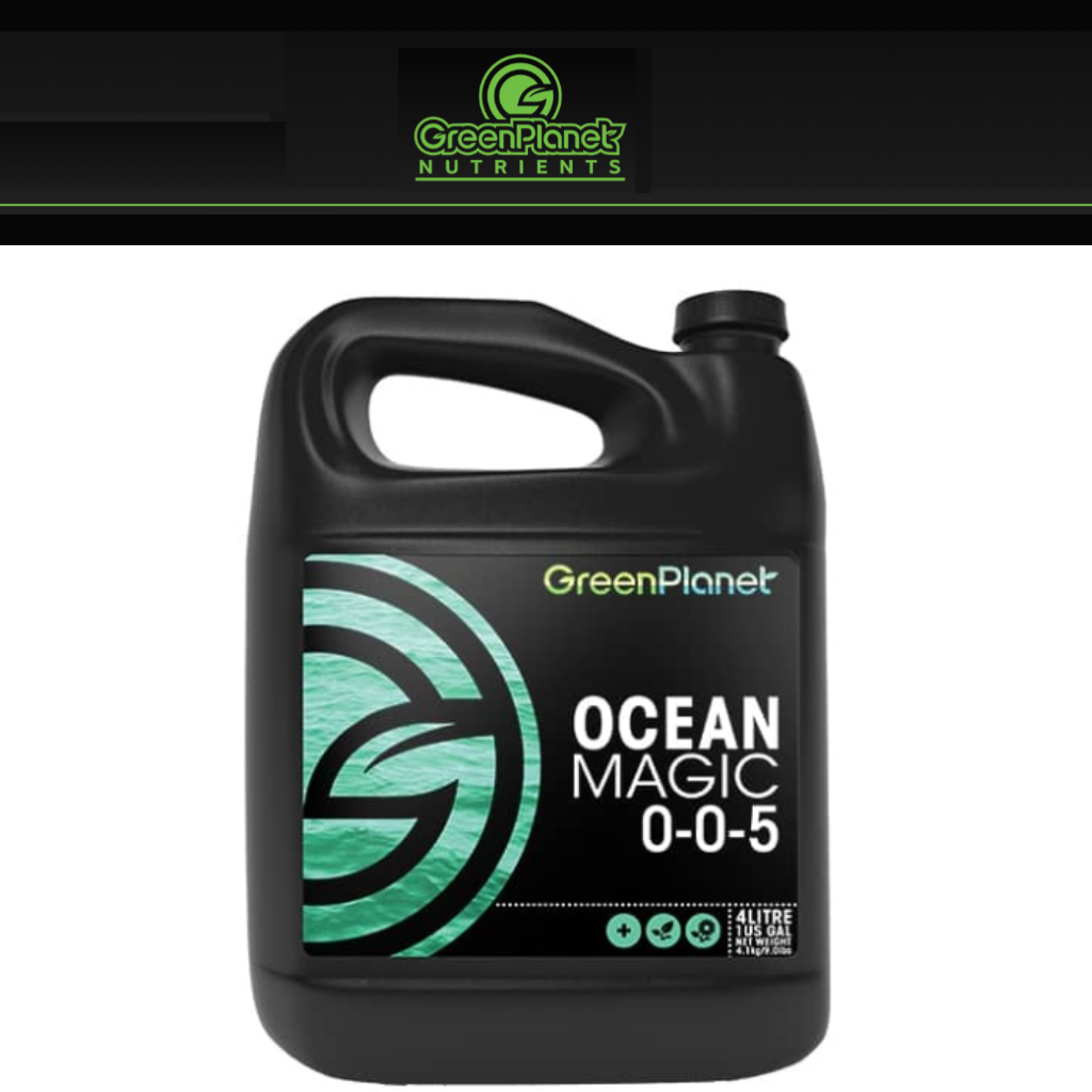 Green Planet Ocean Magic