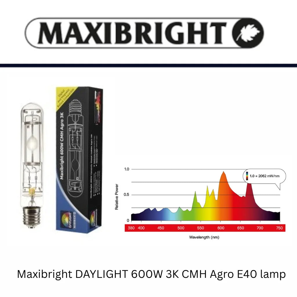 Maxibright Daylight 3k ARGO Bulb