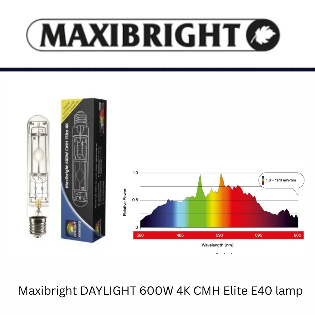 Maxibright Daylight 4k Elite bulb