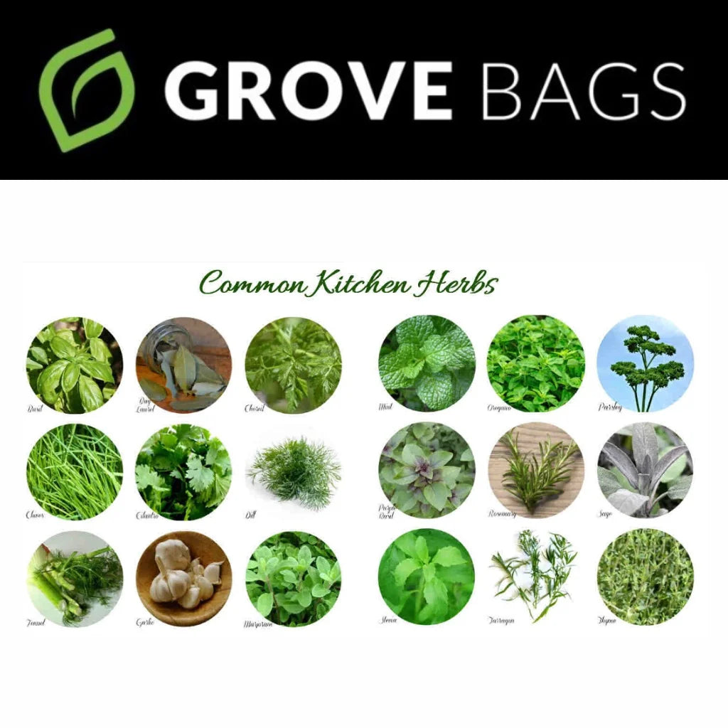 Grove Bags - herbs