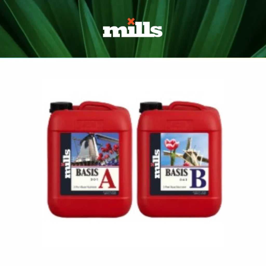 Mills basis softwater