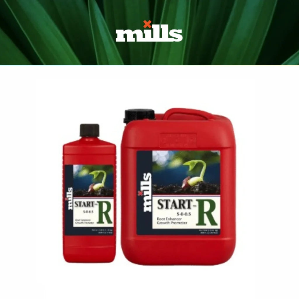 mills start R main