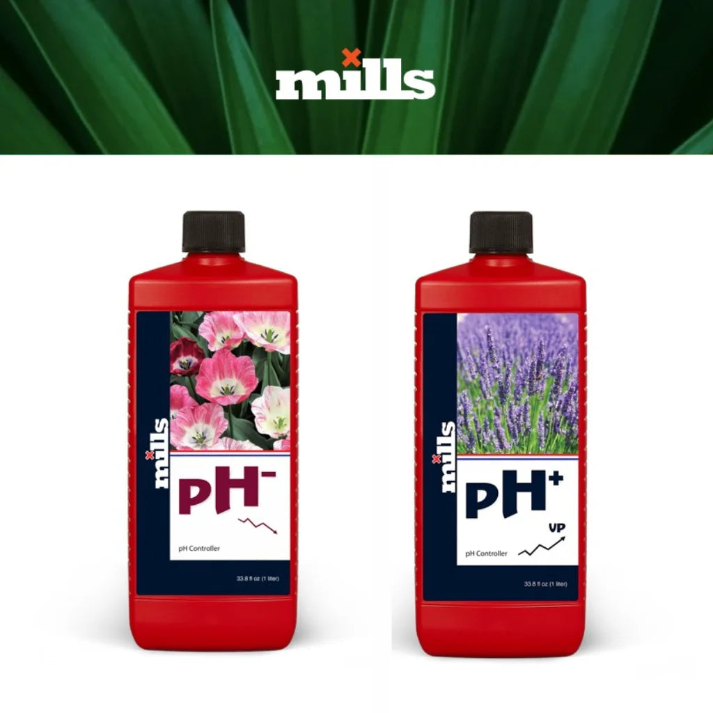 Mills PH MAIN