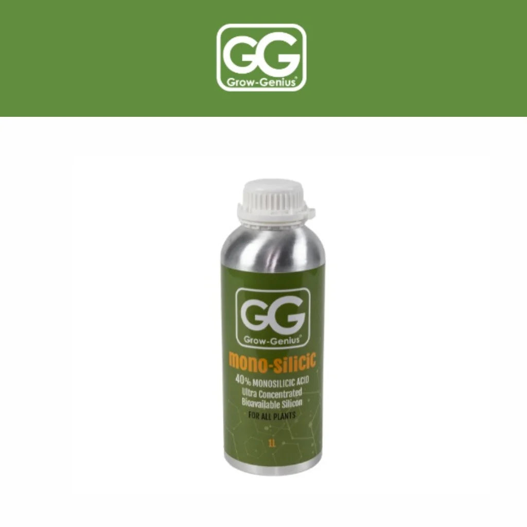 Grow Genius Mono Silicic-main