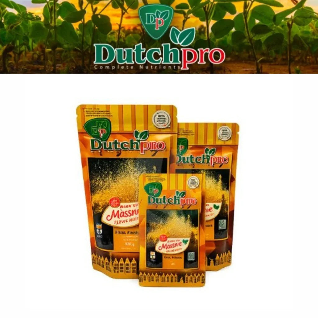 Dutch Pro Quantum Massive Powdershot – High PK Late Flower Booster (Powdered Bloom Enhancer) - MAIN