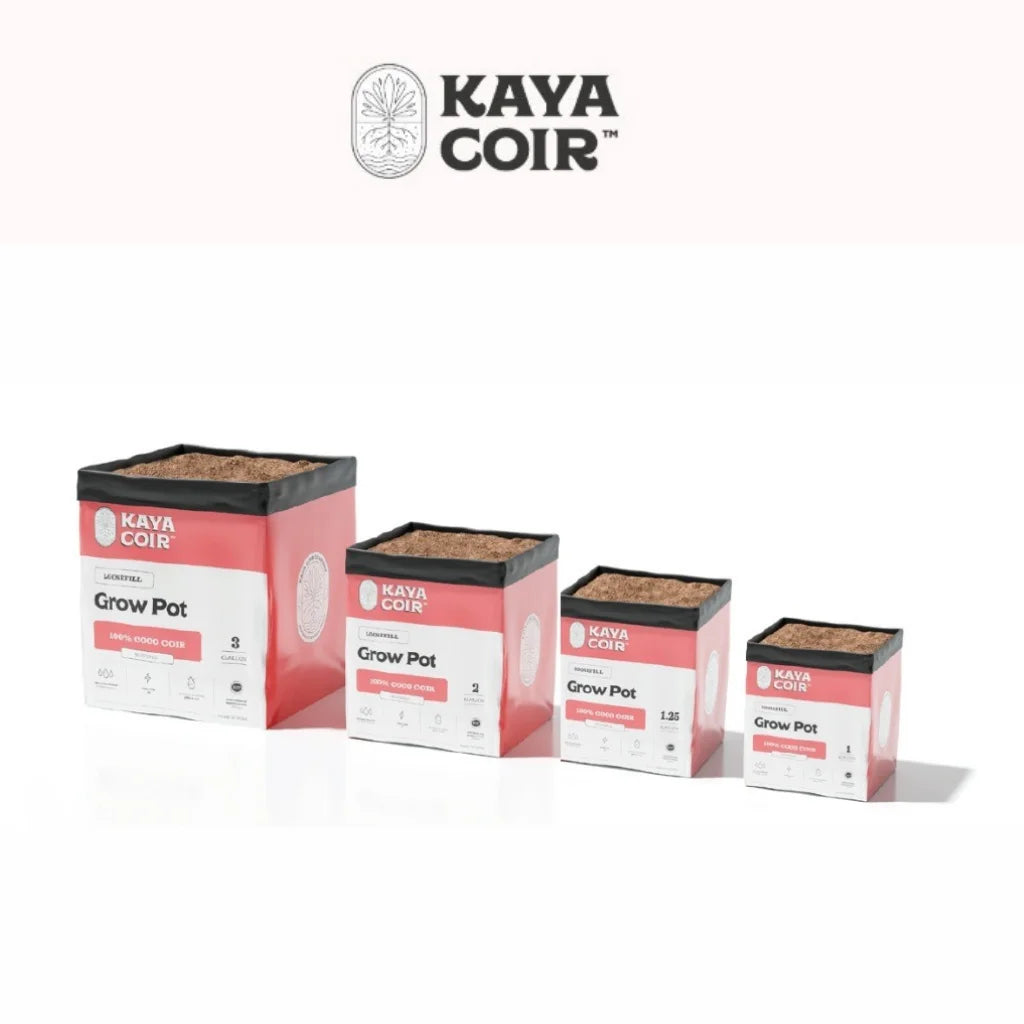 Kaya Coir Coco Loose Fill - 100%