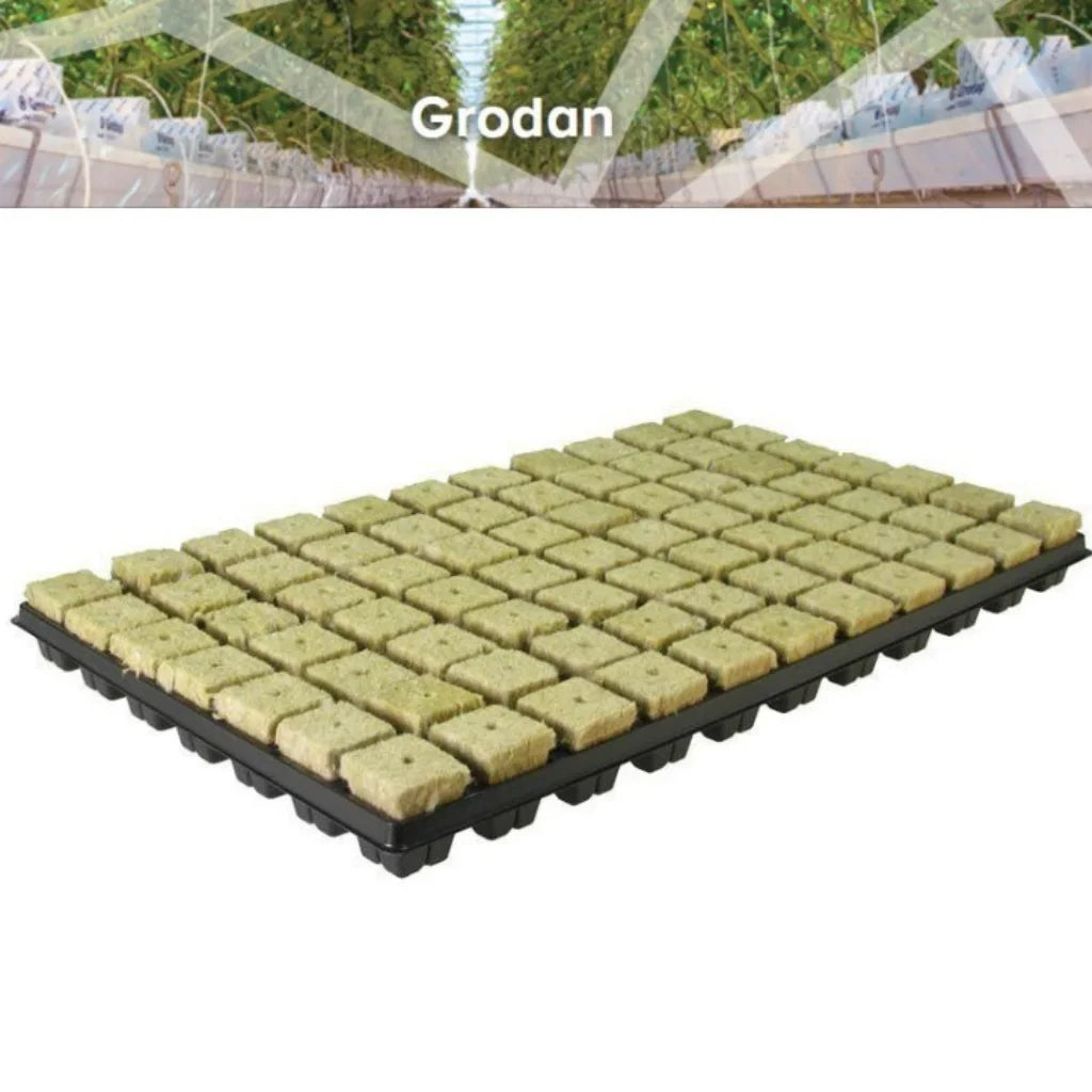 Grodan SBS Large Tray 77 Large hole