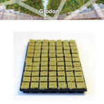 Grodan SBS Large Tray 77 Large hole ART 2