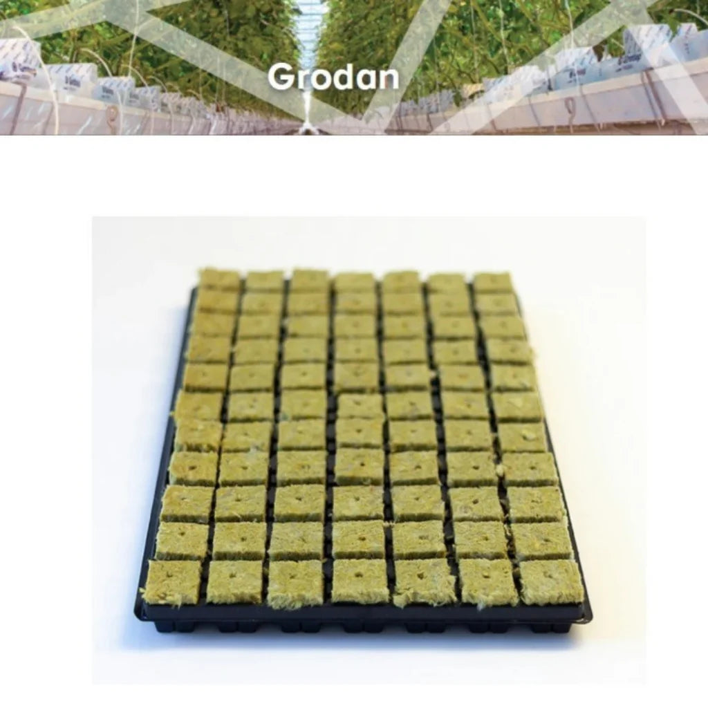 Grodan SBS Large Tray 77 Large hole ART 2