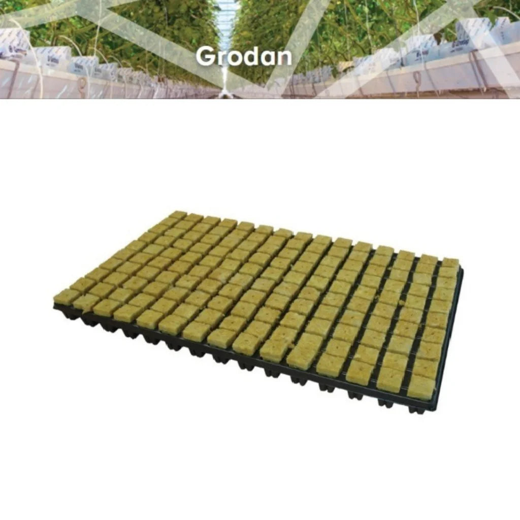Grodan Rockwool: SBS Small (25/150) Propagation Cubes
