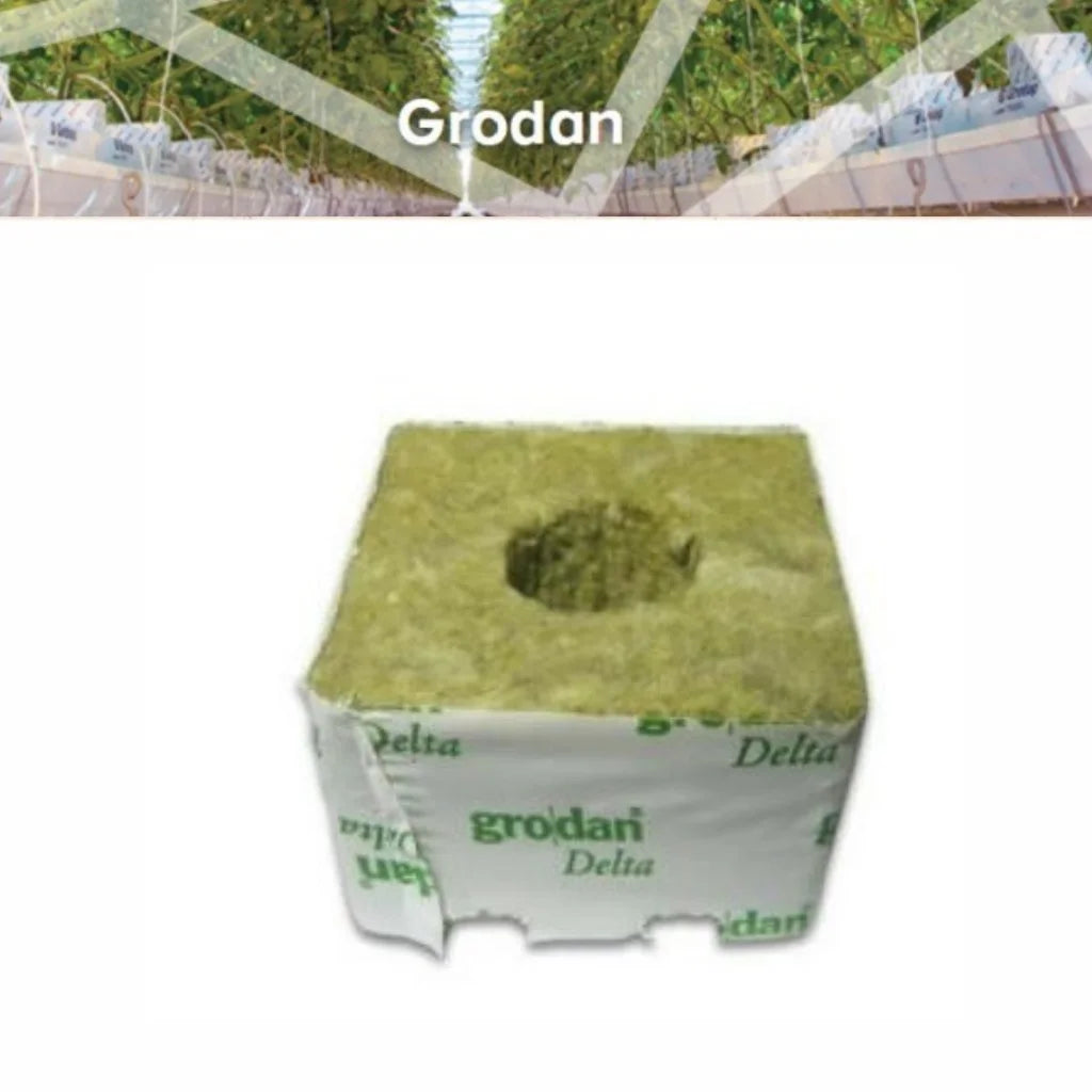 Grodan Delta Blocks - 75mm x 75 x 65 (3") Large Hole SINGLE