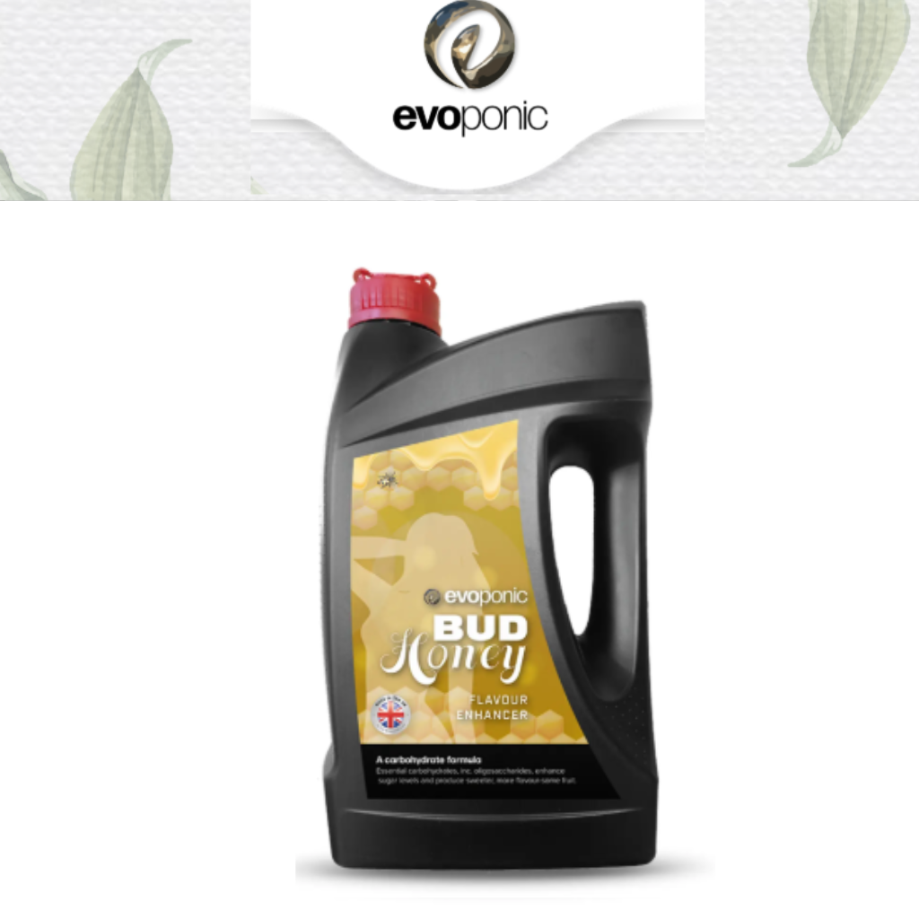 Evoponic Bud Honey