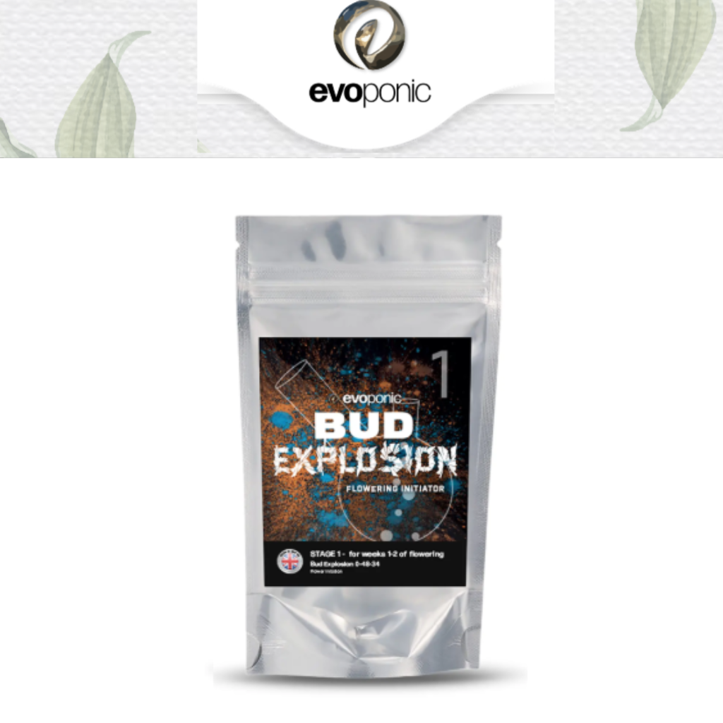 Evoponic Bud Explosion