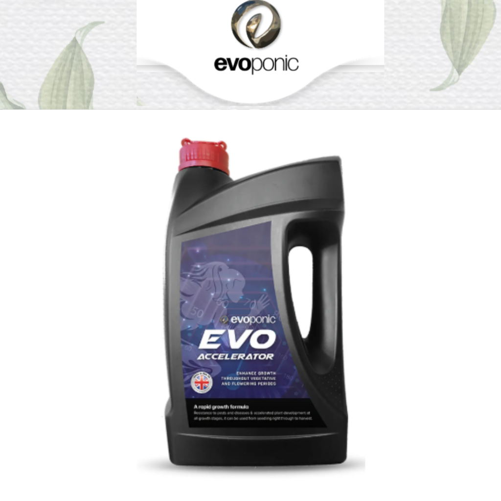 Evoponic Accelerator