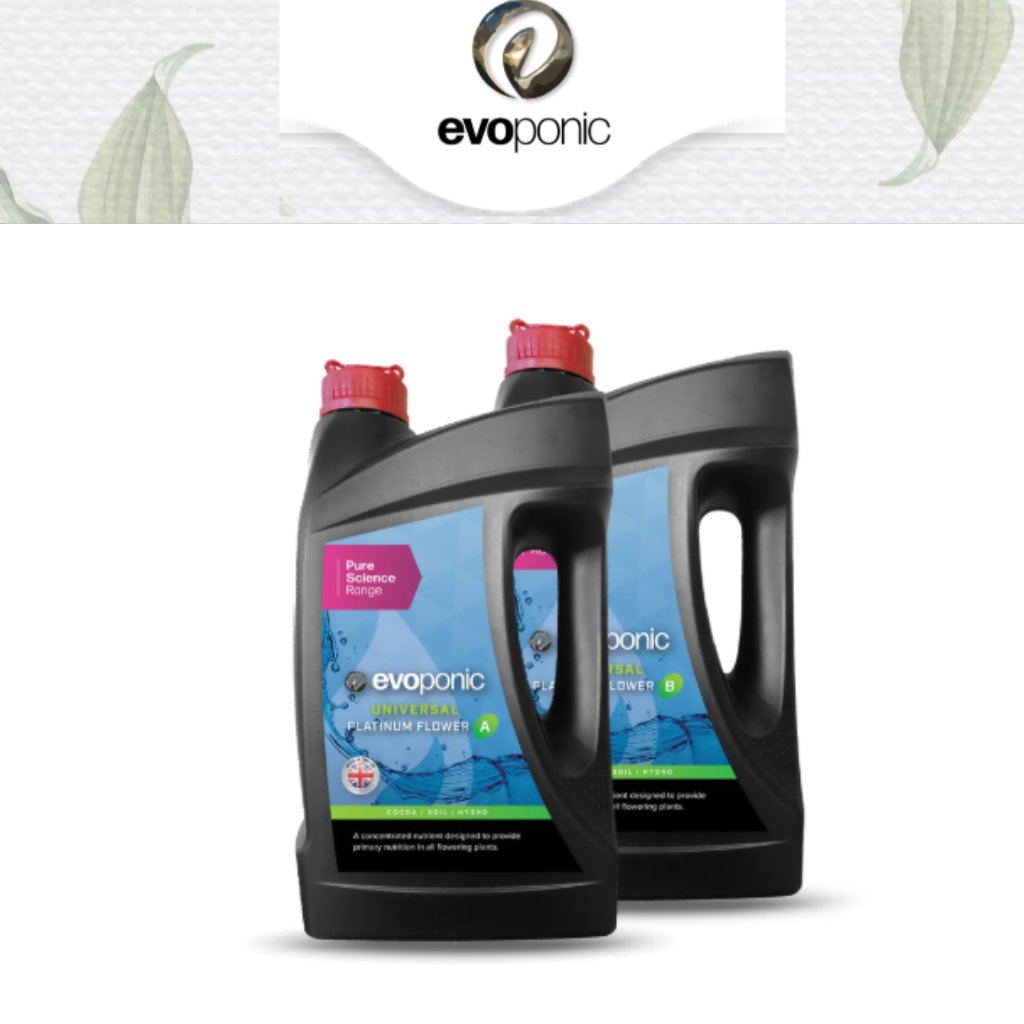 Evoponic Platinum Flower A&B