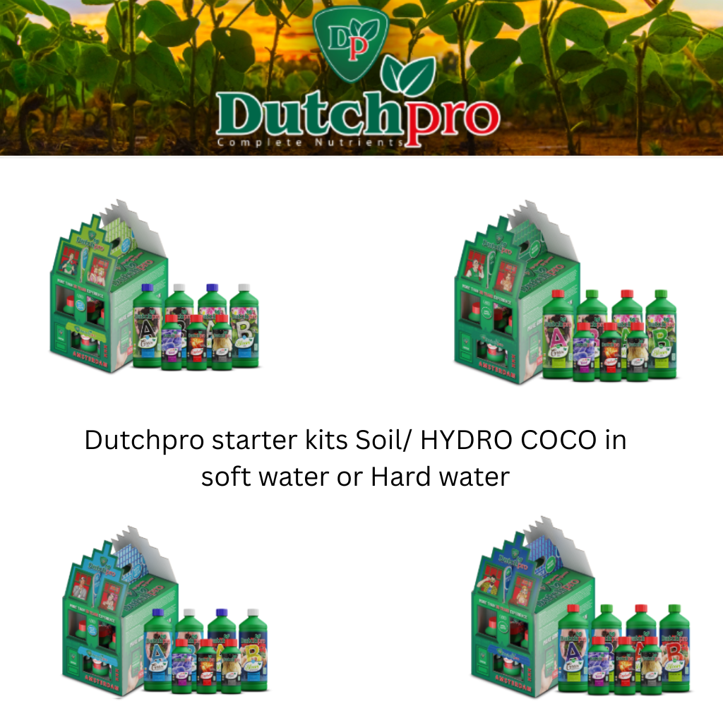 Dutch pro soil or hydro coco starter bundles
