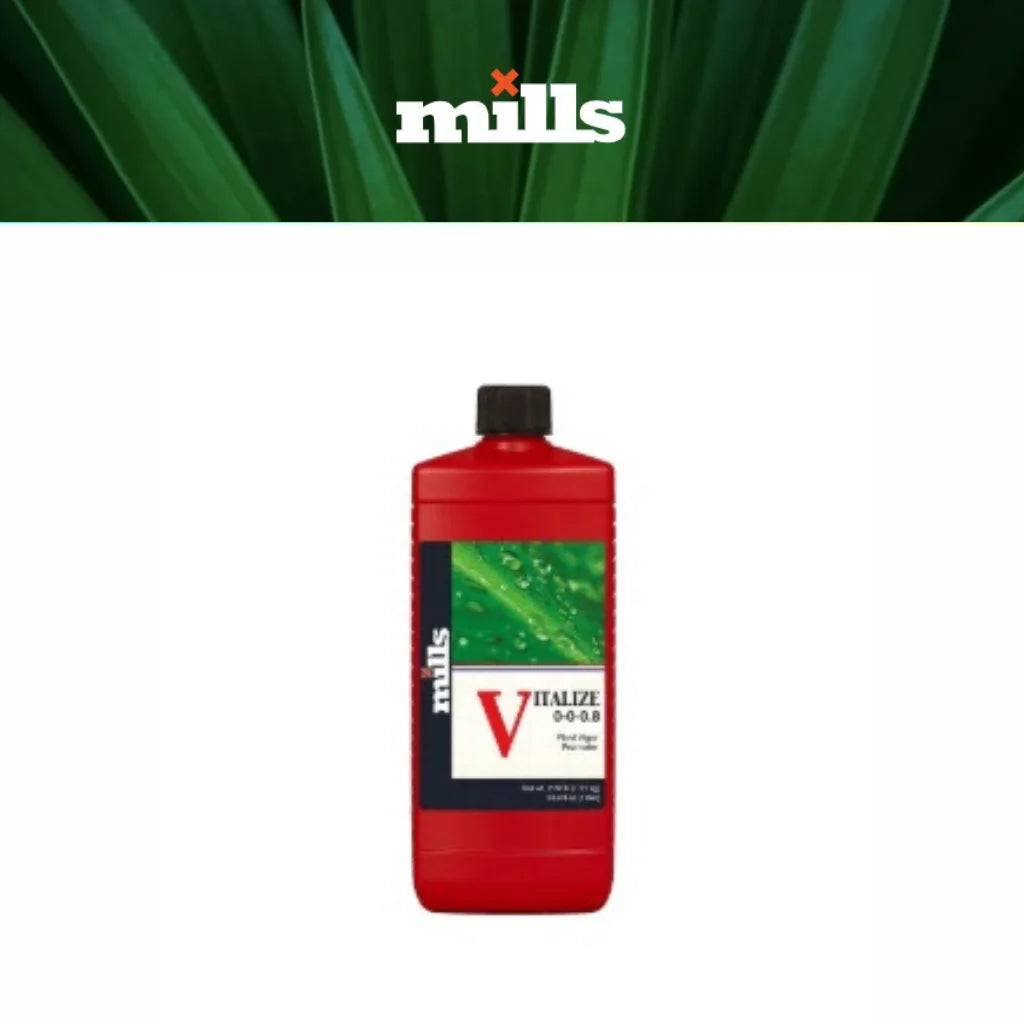 Mills Vitalize Main