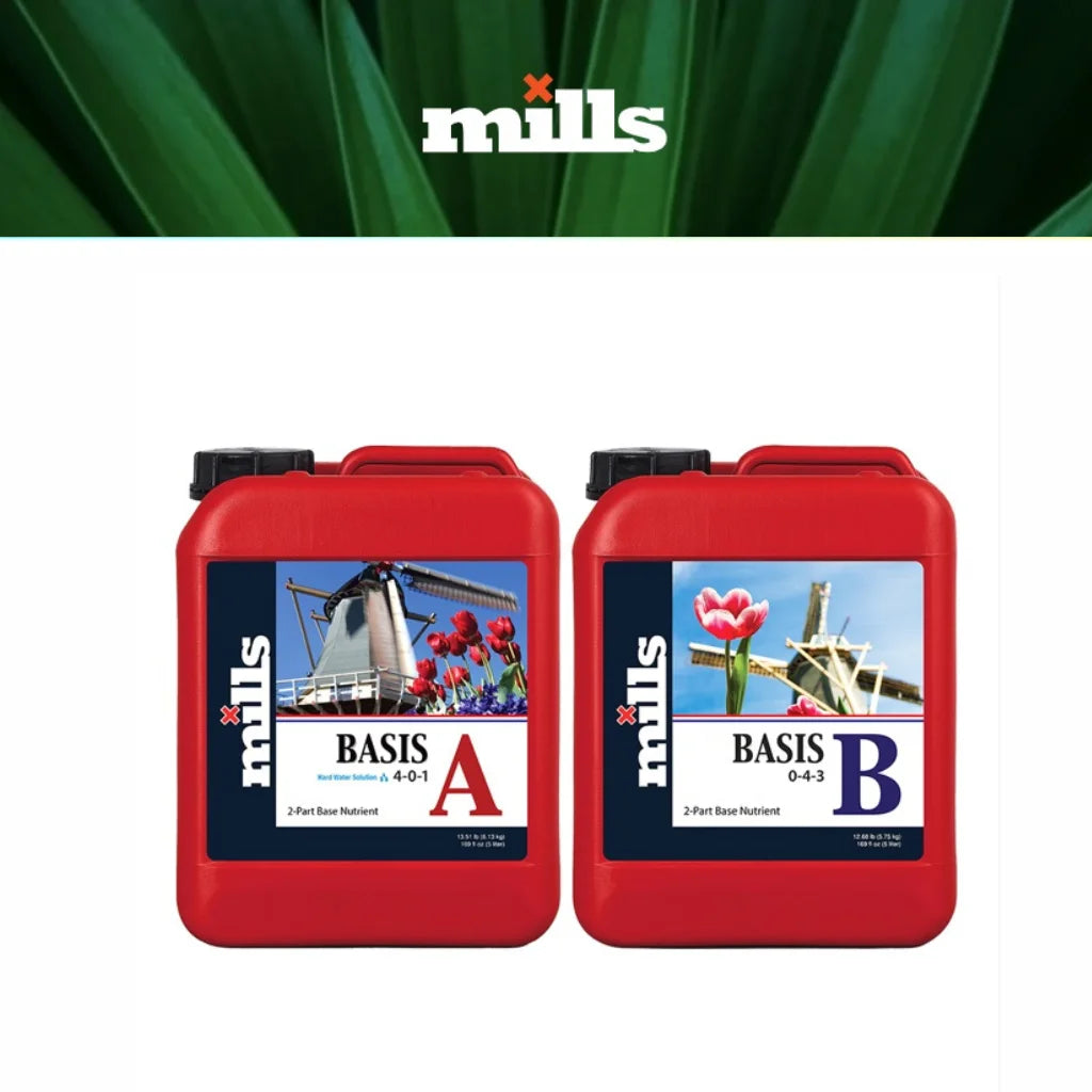 Mills Basis A/B 5L MAIN