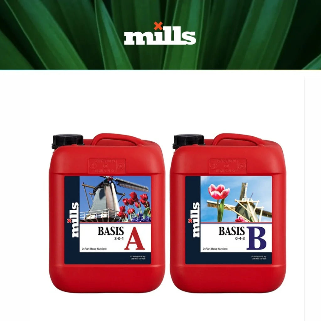 Mills Basis A/B  10L MAIN