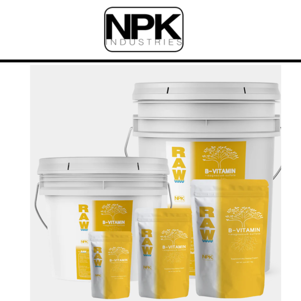 RAW B-Vitamin